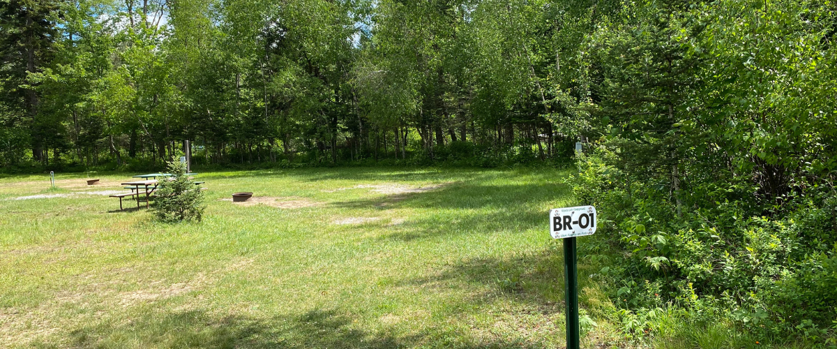 Site Image