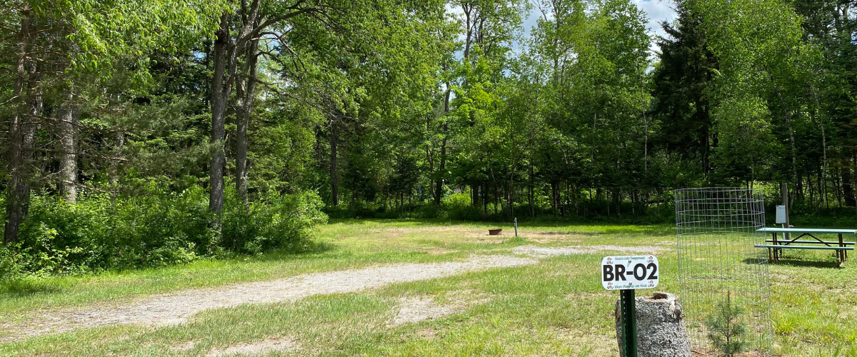 Site Image