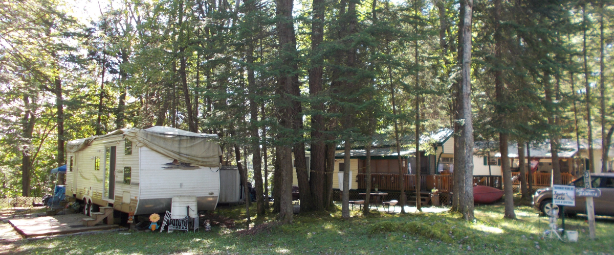 Site Image