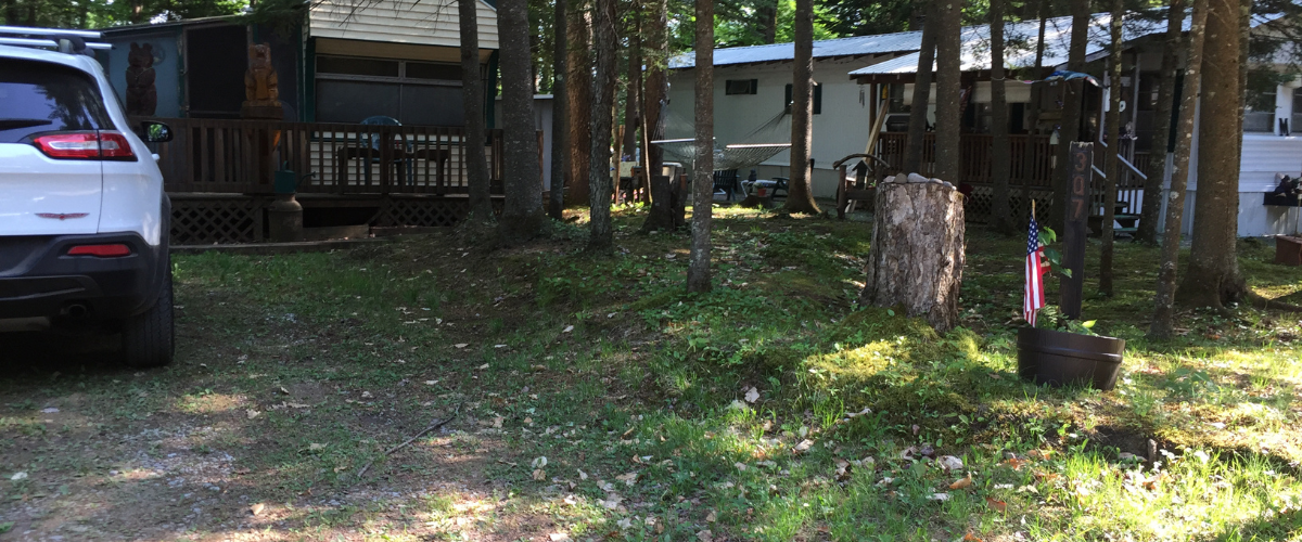 Site Image