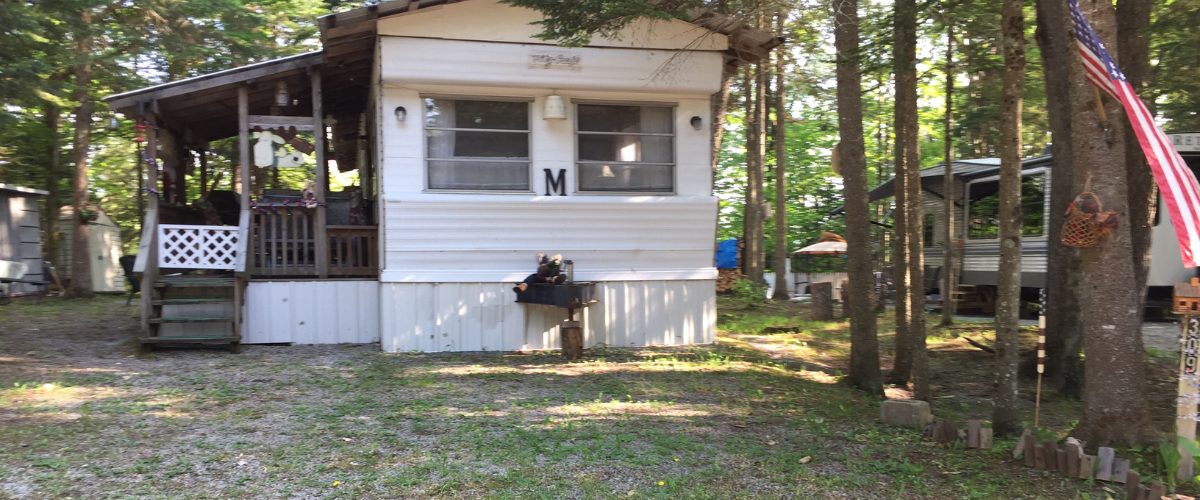 Site Image