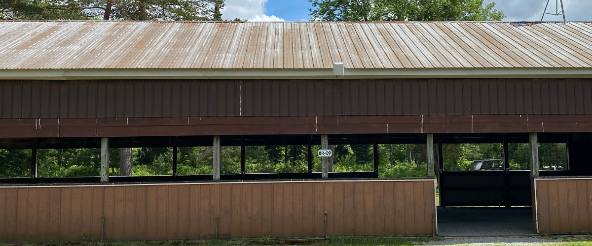 Site Image