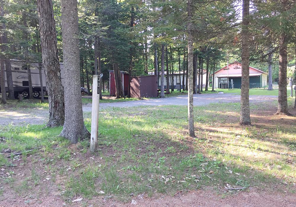 Site Image
