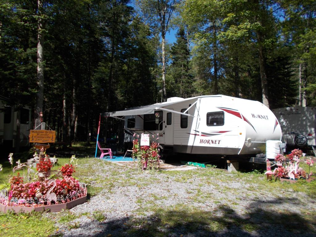 Site Image