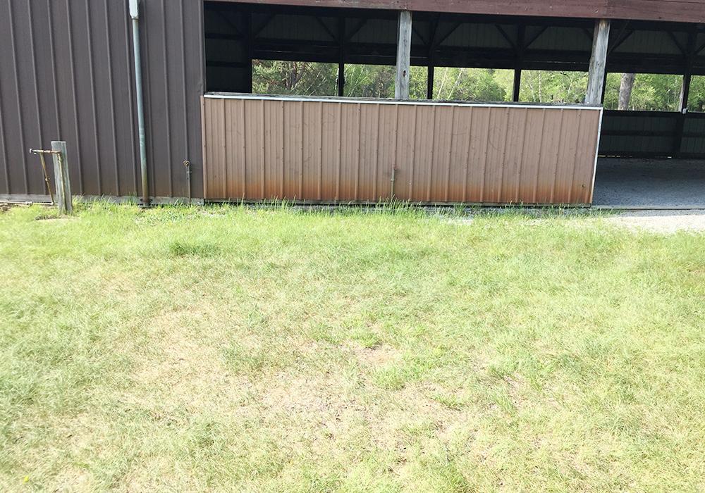 Site Image
