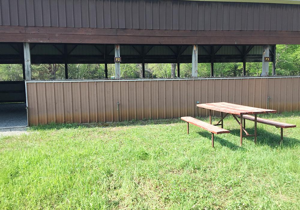 Site Image