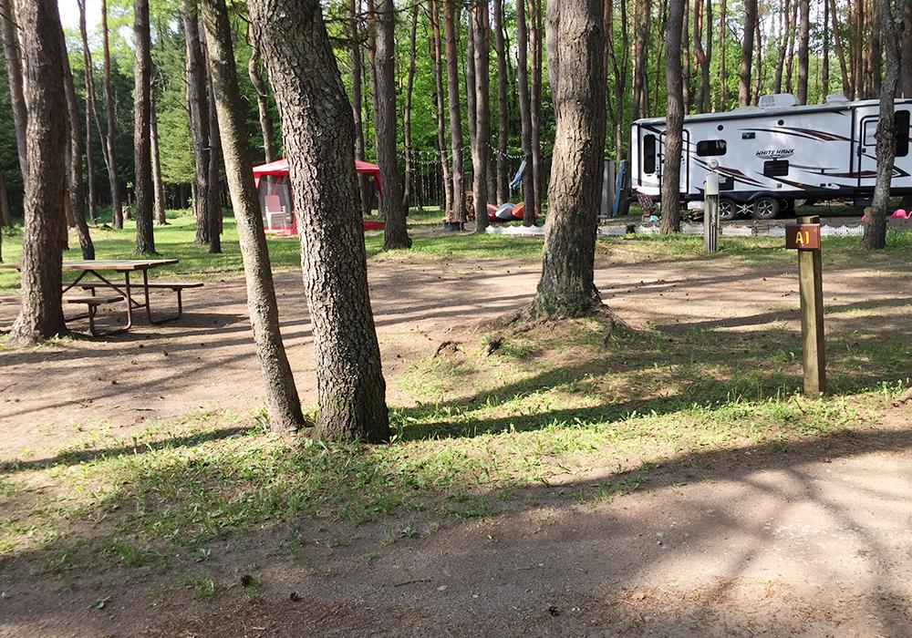 Site Image