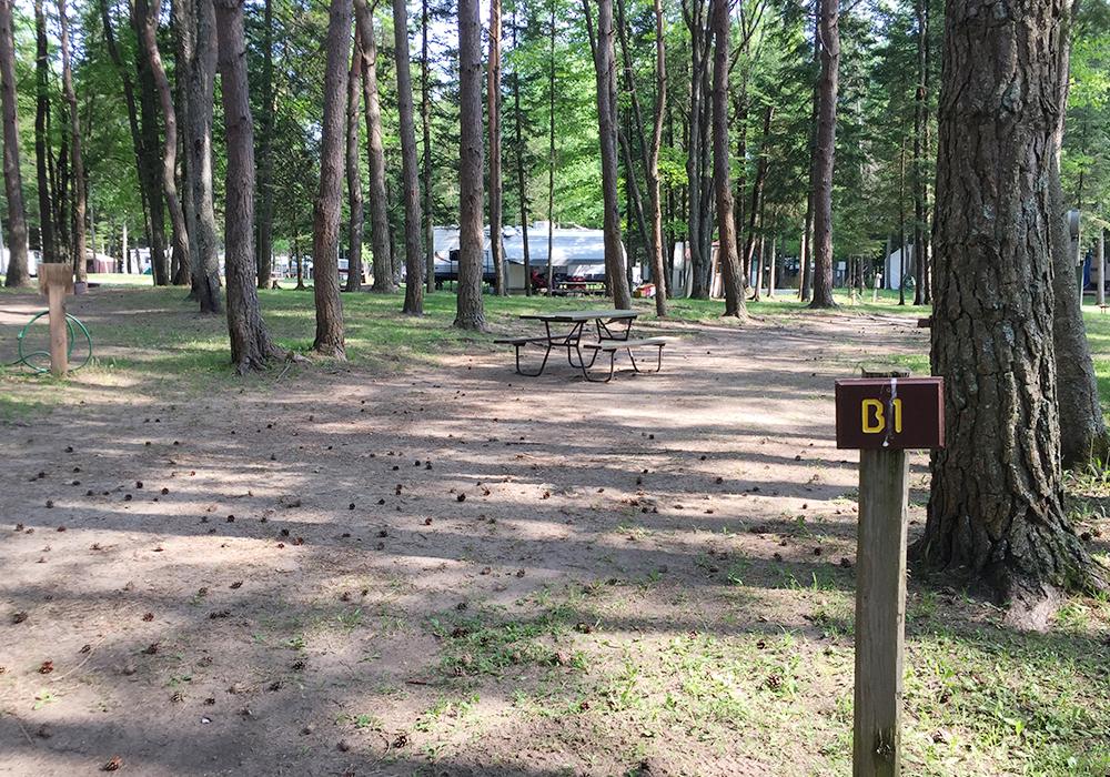 Site Image