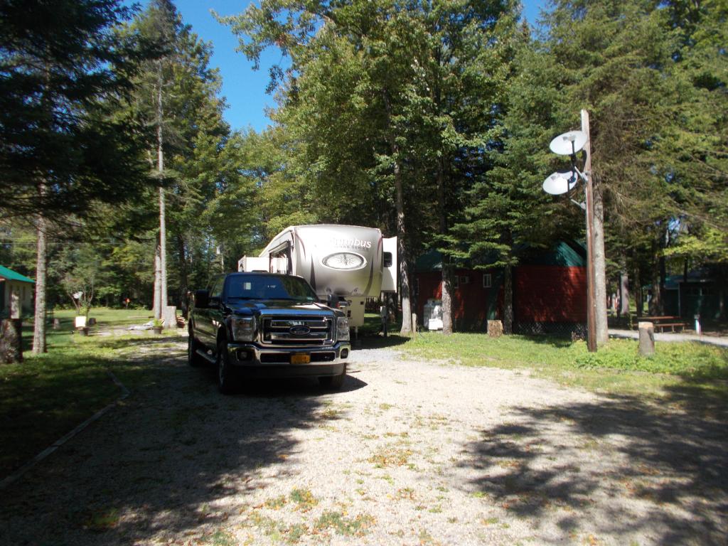 Site Image