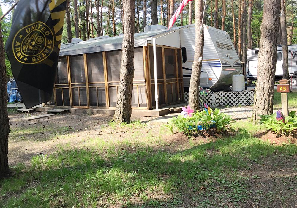 Site Image