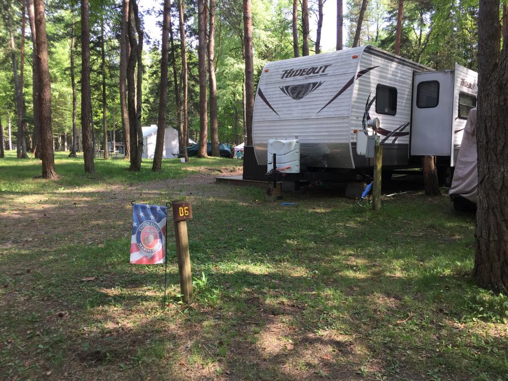 Site Image
