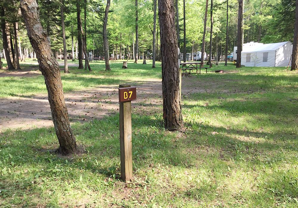 Site Image
