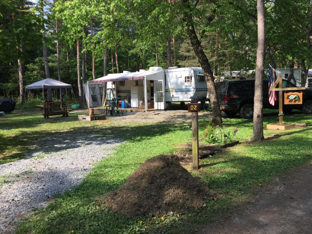 Site Image