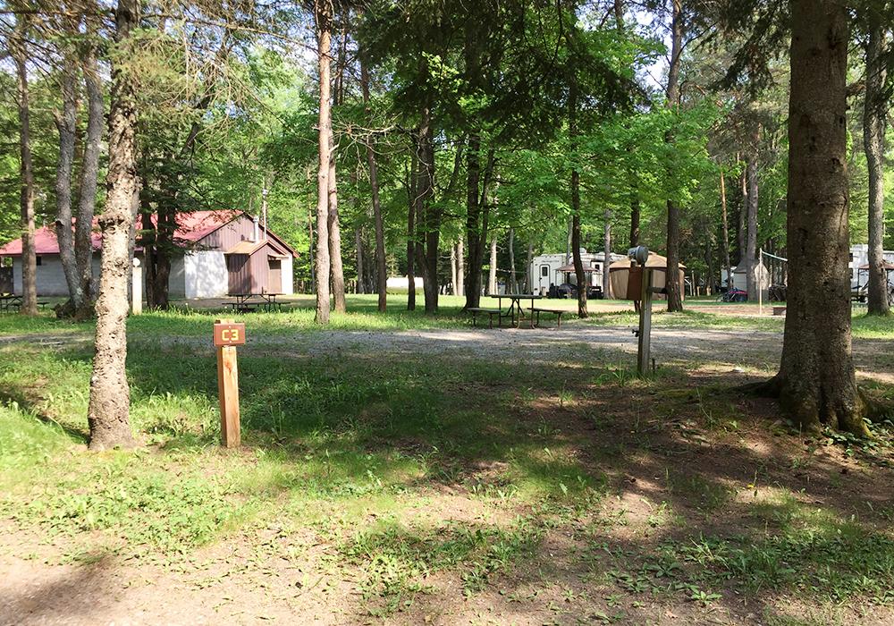 Site Image