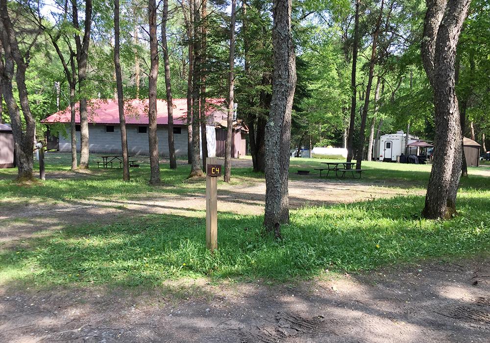 Site Image