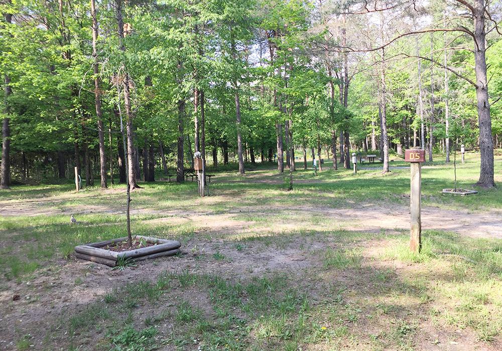Site Image
