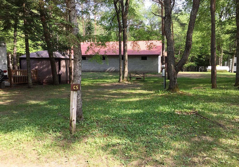 Site Image