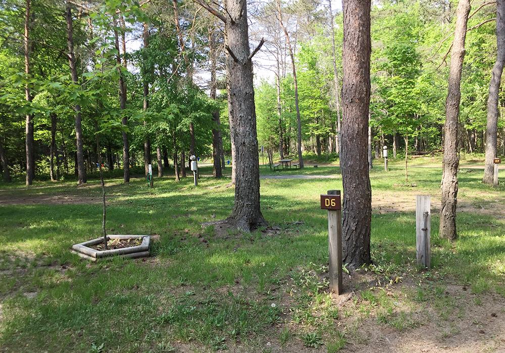 Site Image