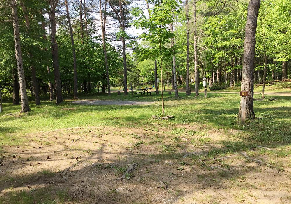 Site Image