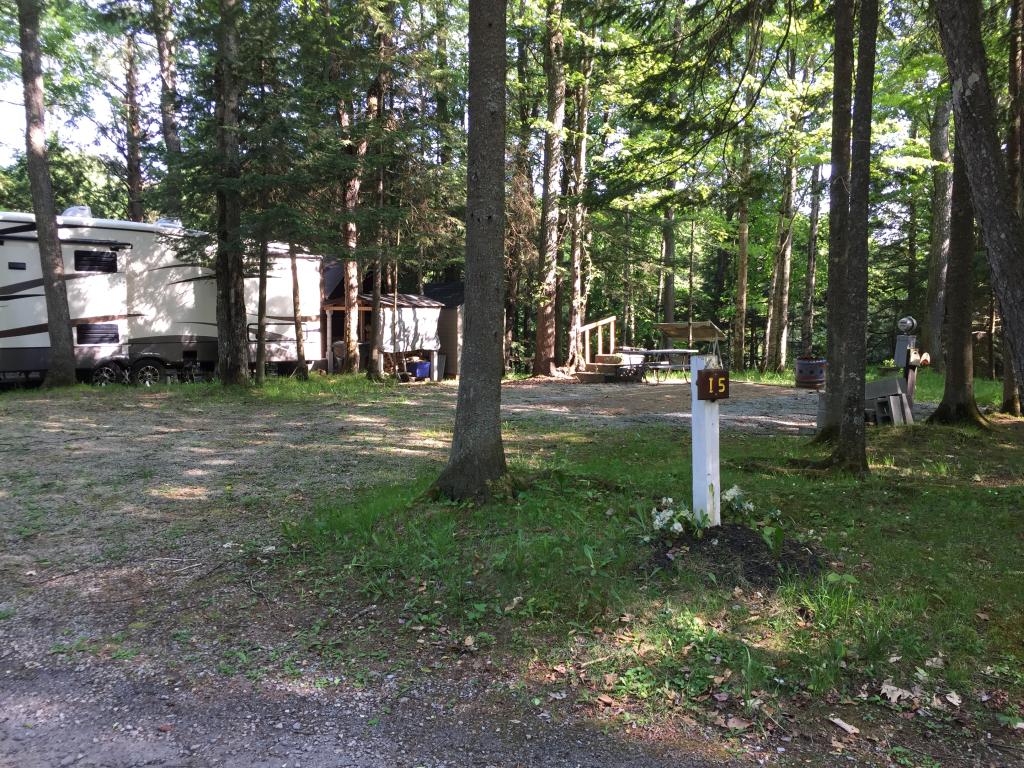Site Image