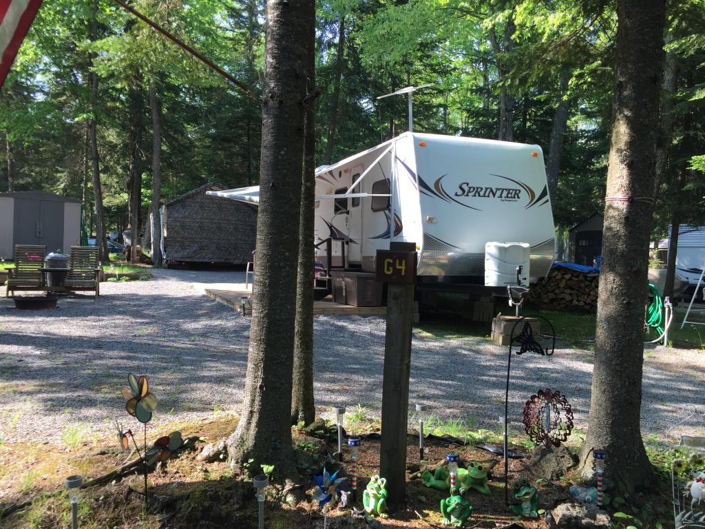 Site Image