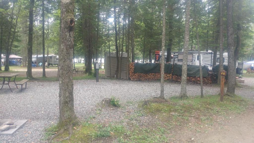 Site Image