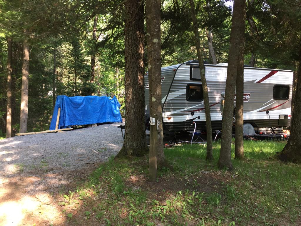 Site Image