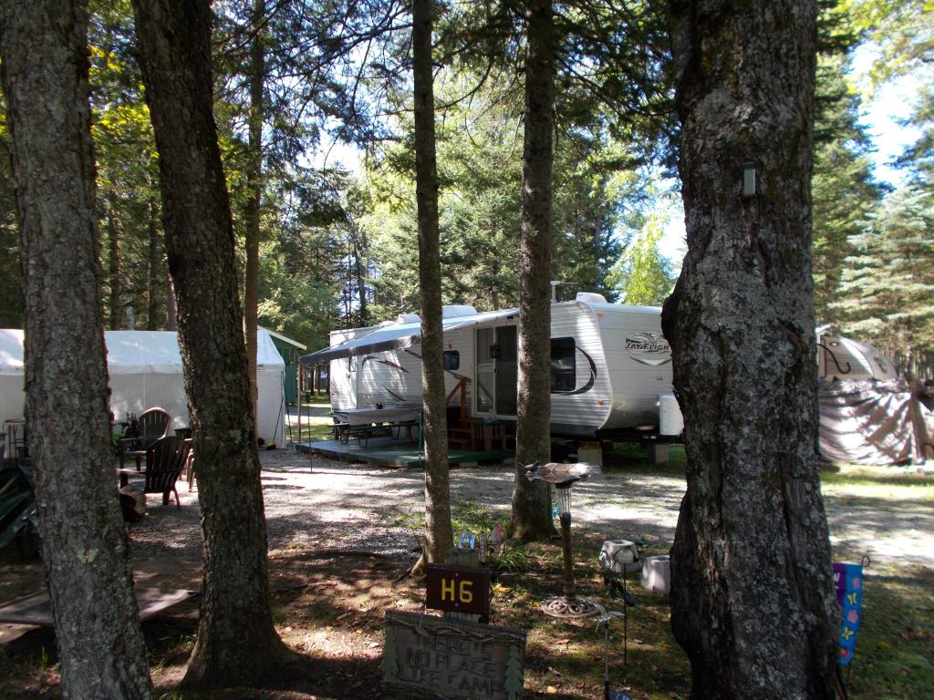 Site Image