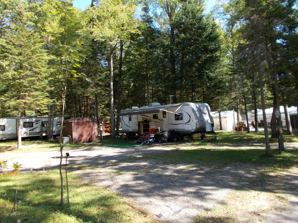 Site Image