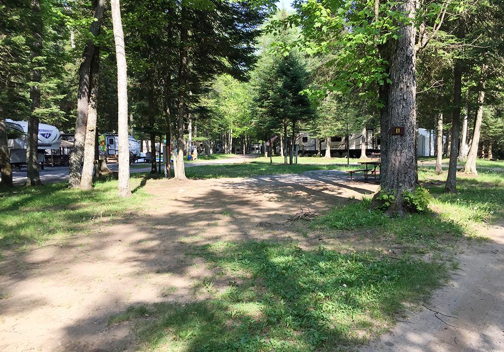 Site Image