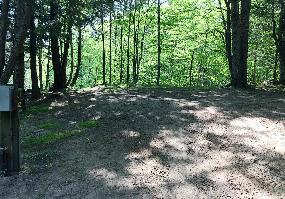 Site Image