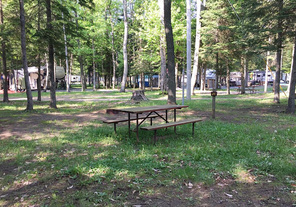 Site Image