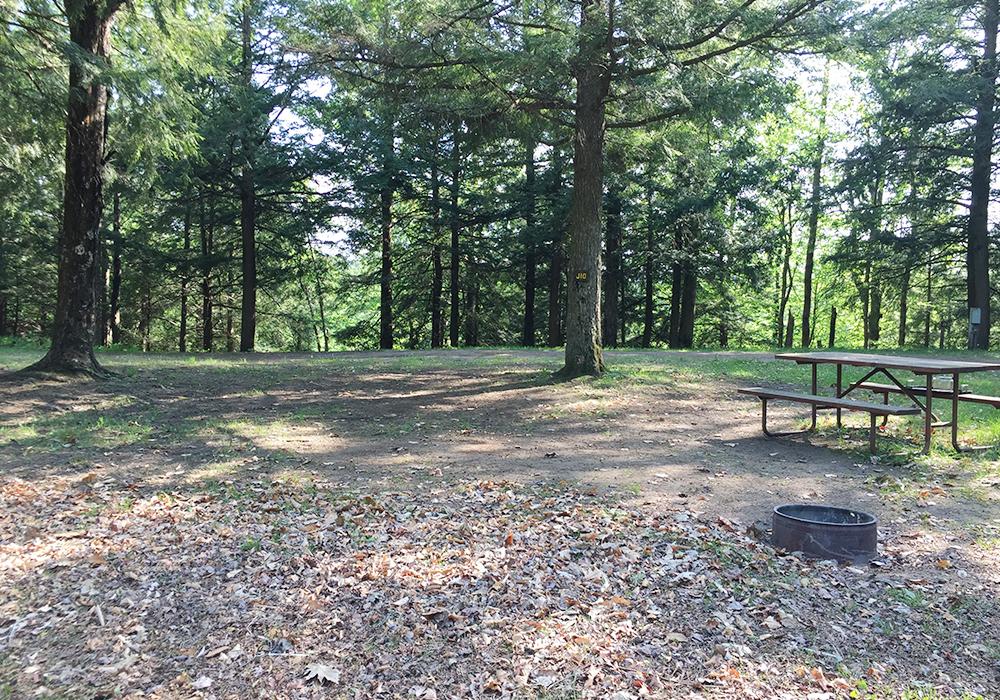 Site Image