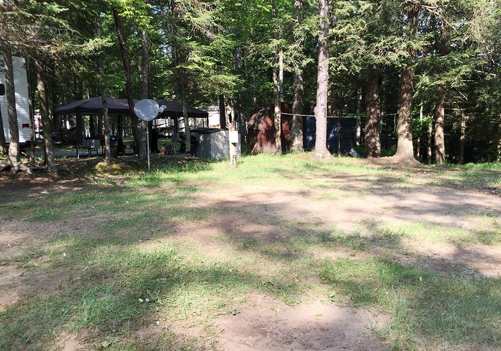 Site Image