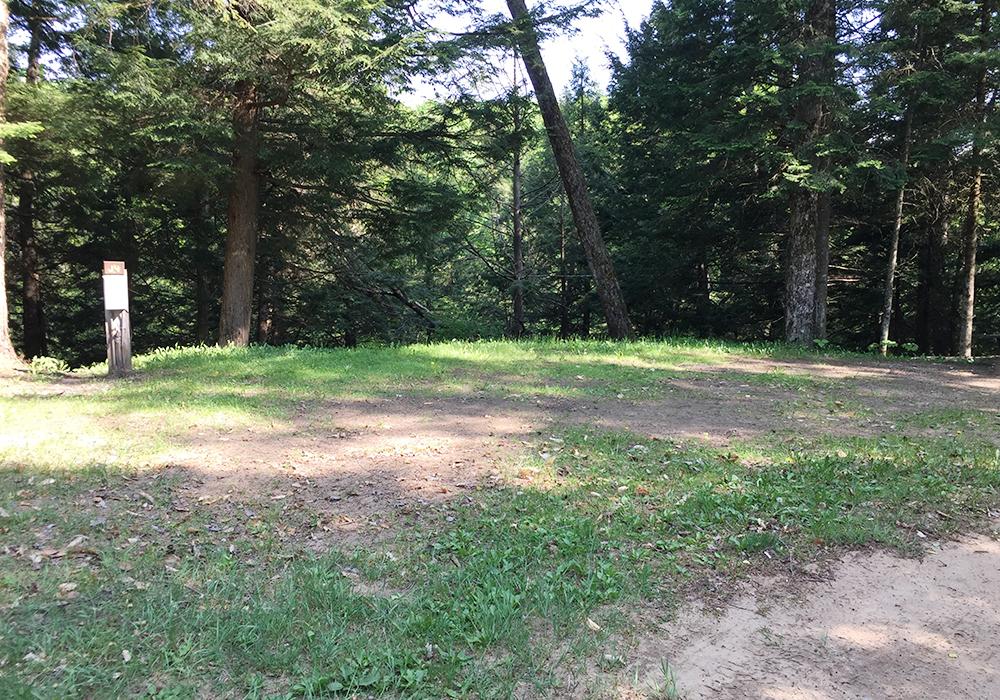 Site Image