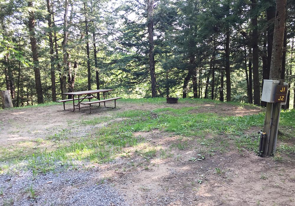 Site Image