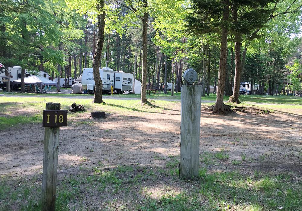 Site Image