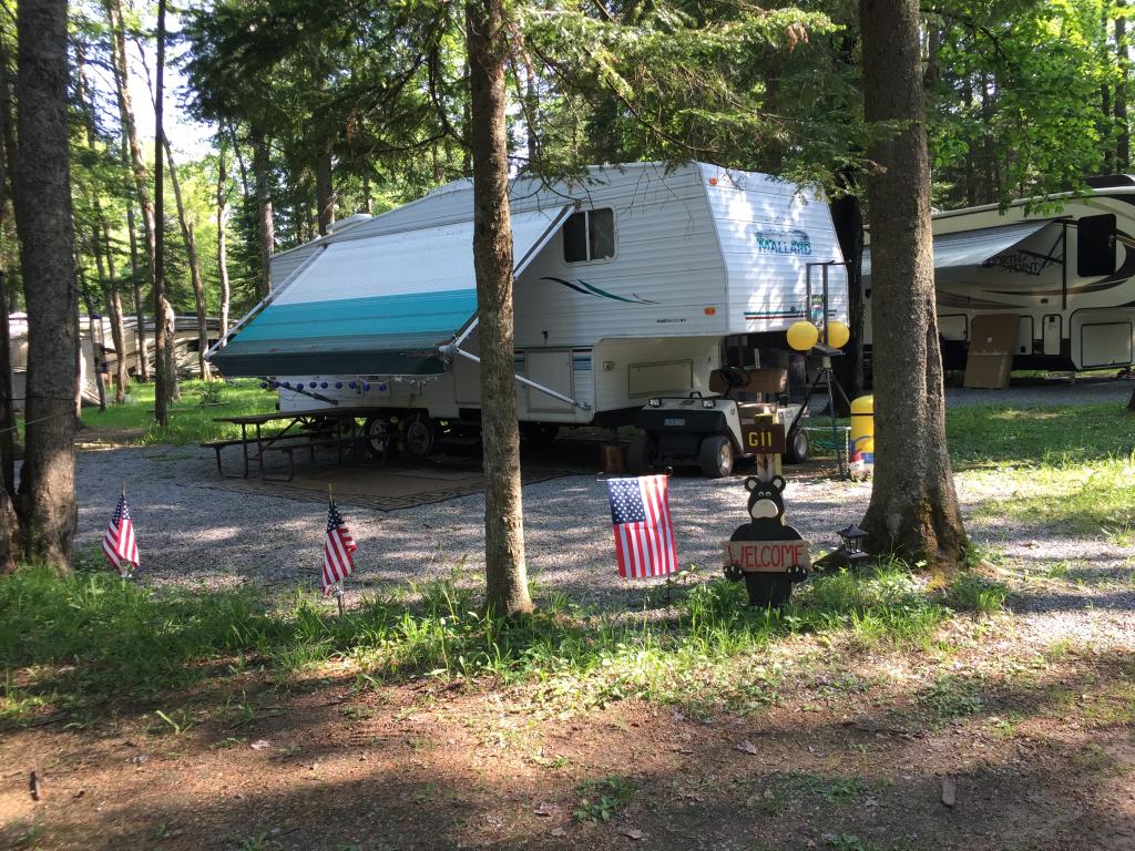 Site Image