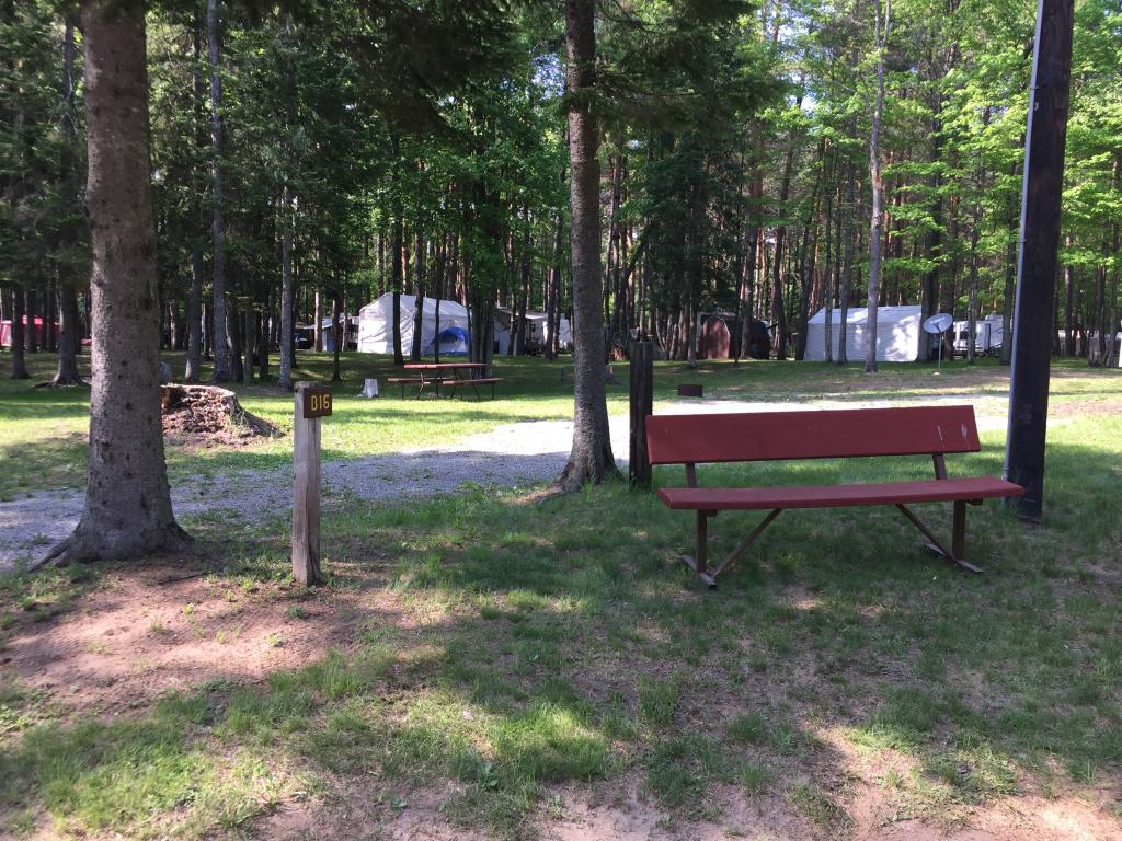 Site Image