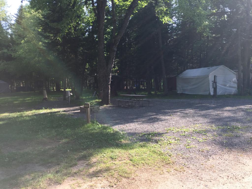 Site Image
