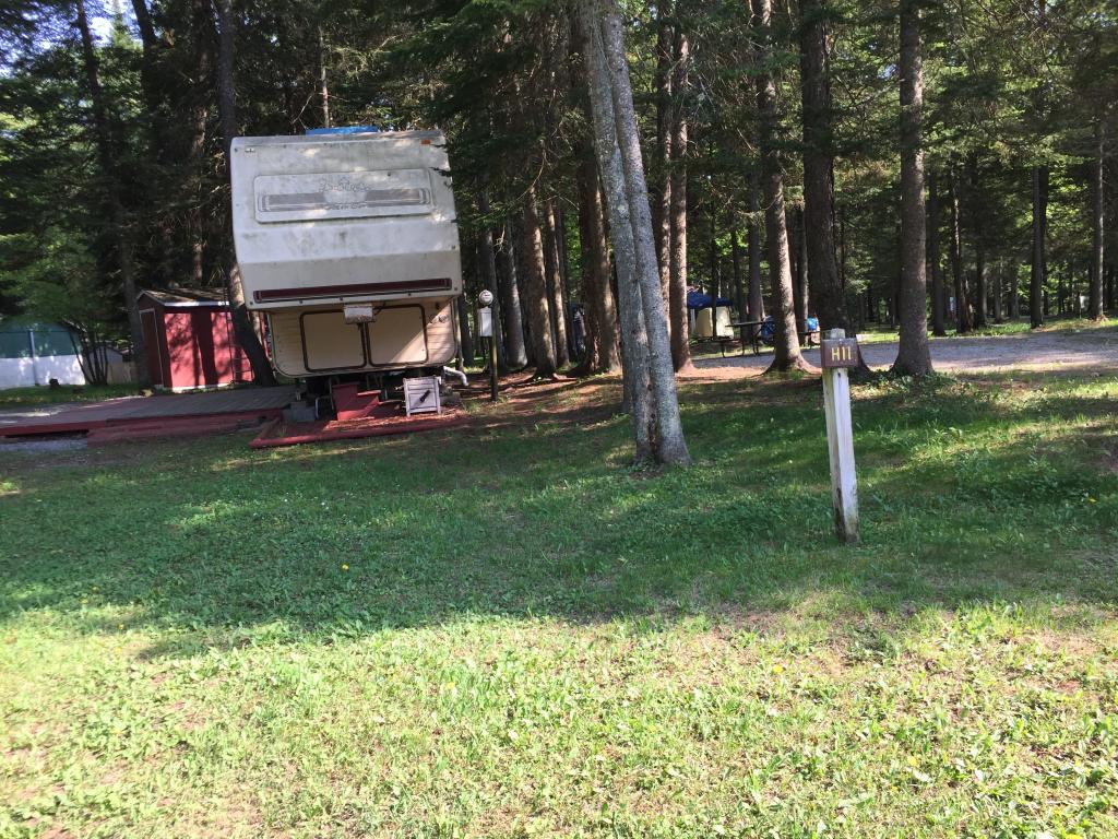 Site Image