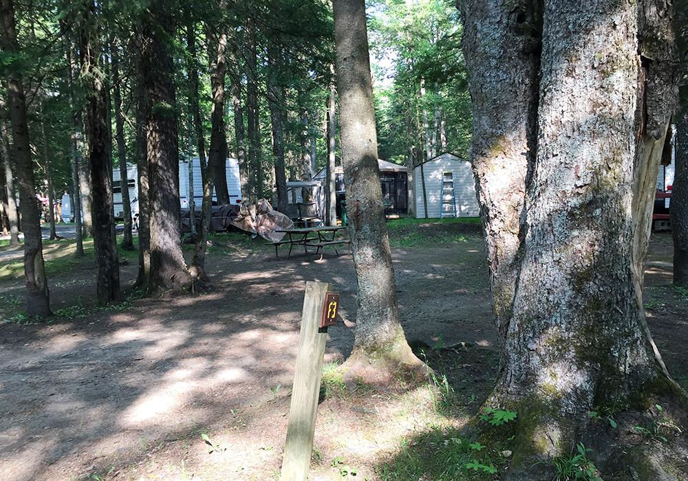 Site Image