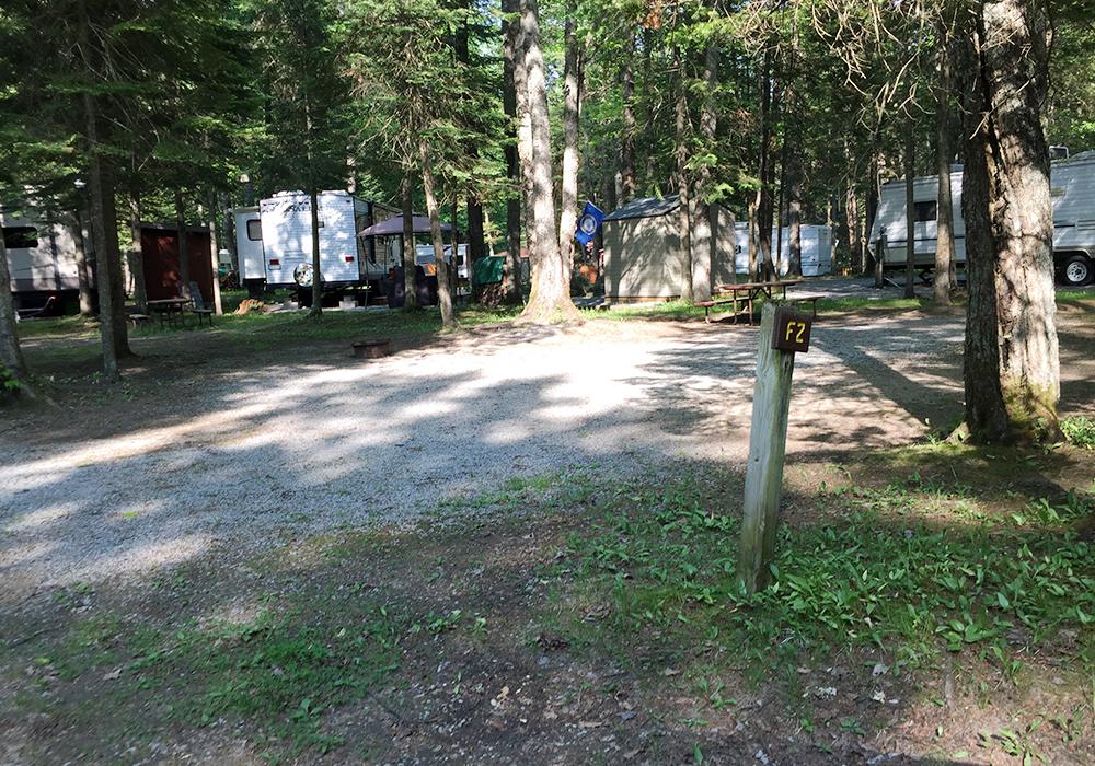 Site Image