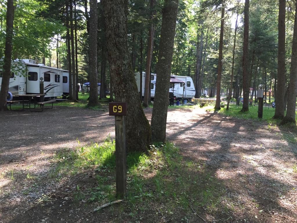 Site Image