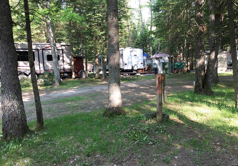 Site Image