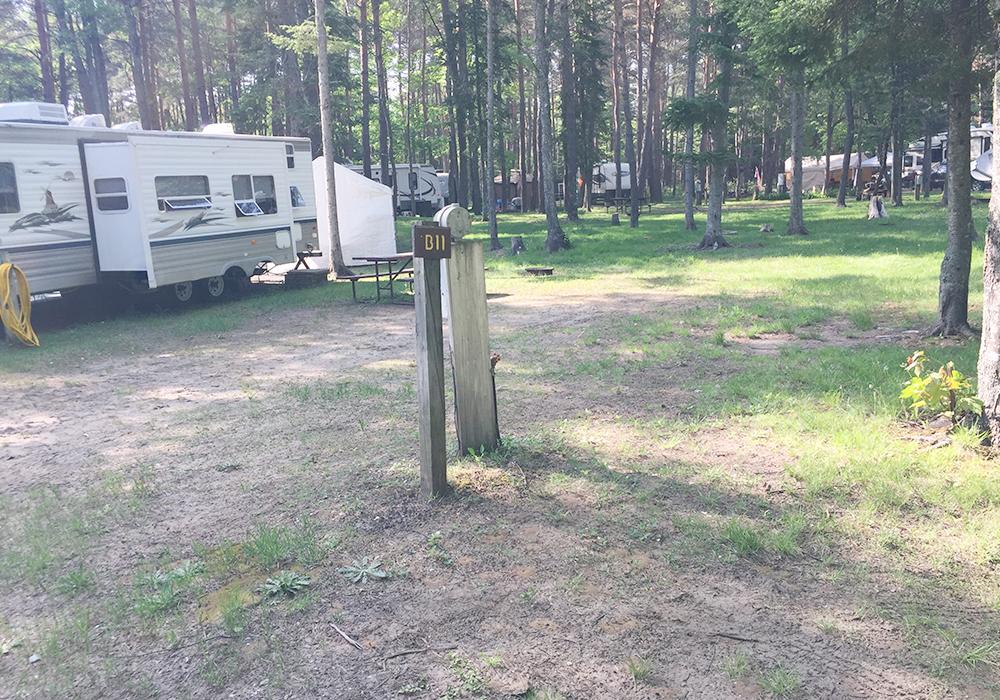 Site Image