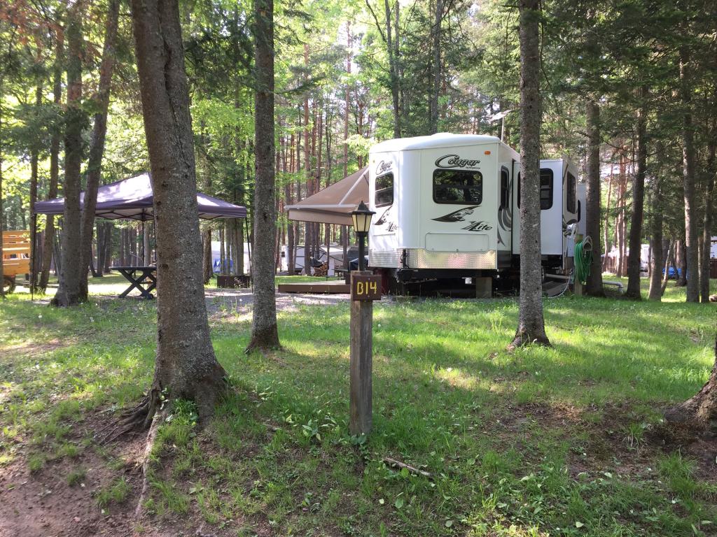 Site Image