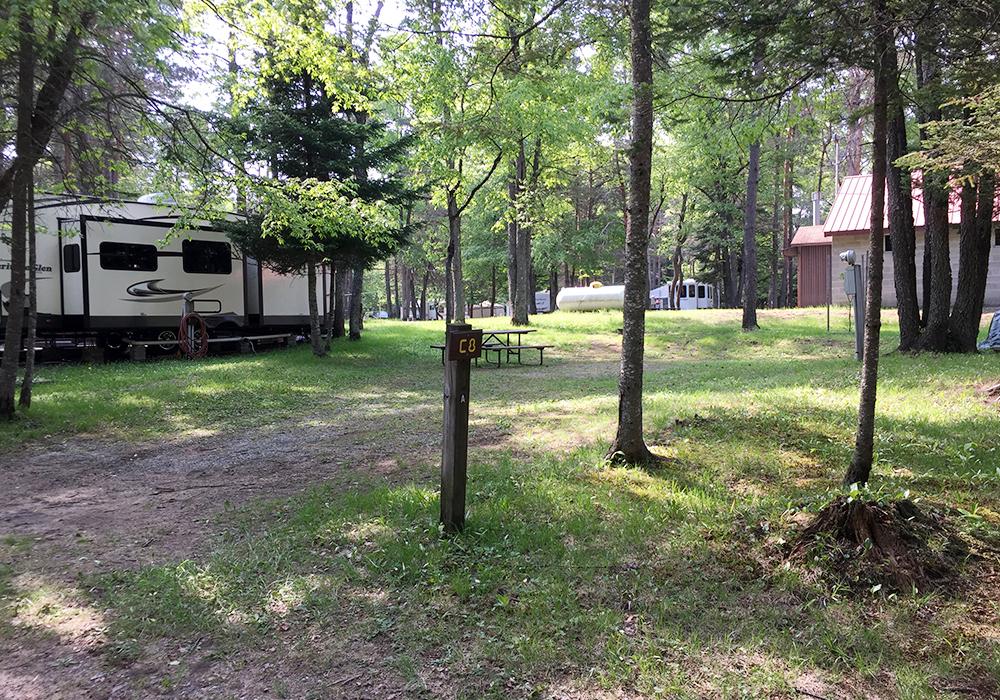 Site Image