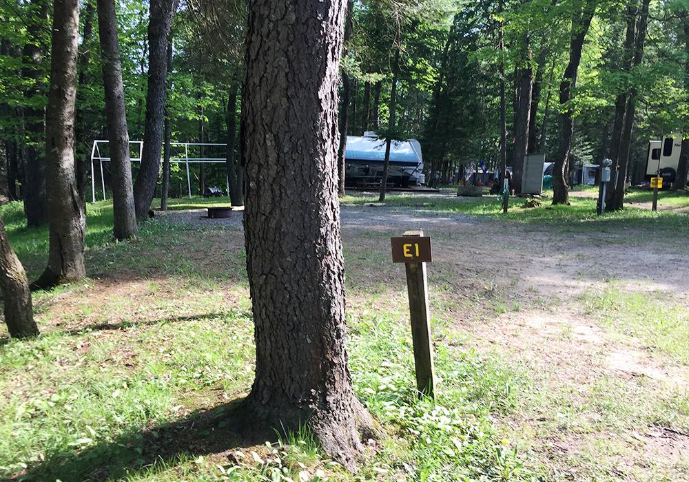 Site Image