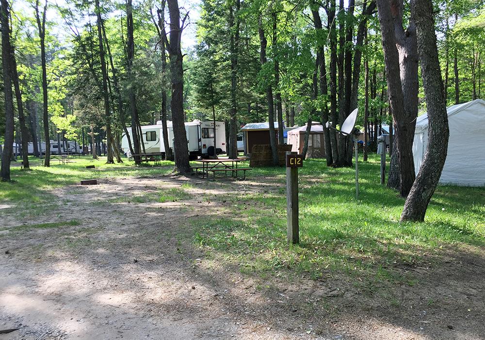 Site Image
